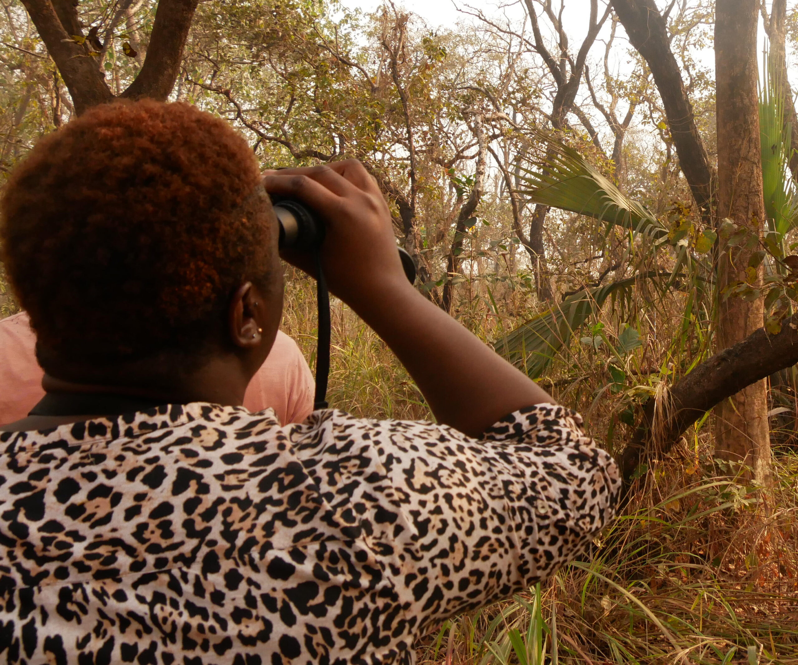Read more about the article Bird Counting at Outamba-Kilimi – a new experience
