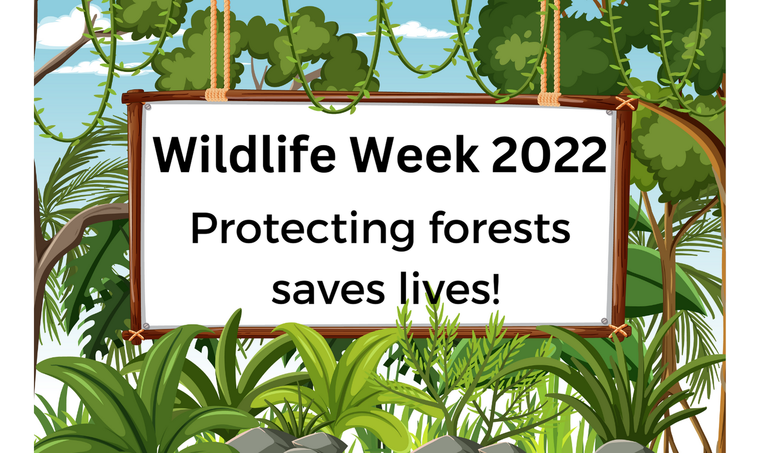 Read more about the article Wildlife Week 2022 Nature Quiz – Check your Knowledge