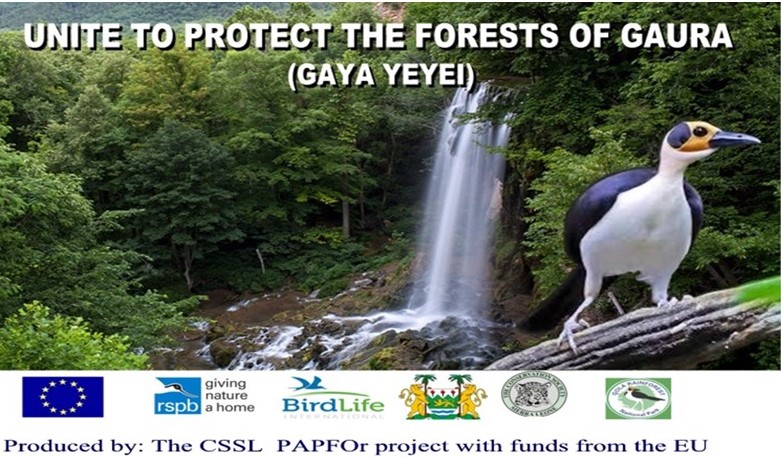 Read more about the article Partnering with Local Communities to Preserve Forests in Sierra Leone