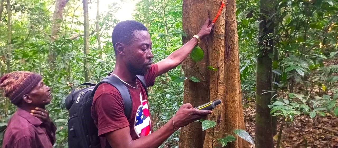 Read more about the article EU-PAPFor Achieves Conservation Planning in Sierra Leone’s Gola Forest