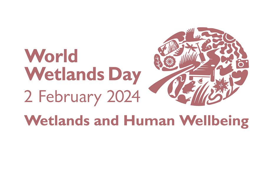Read more about the article World Wetlands Day 2024 – wetlands and human well-being