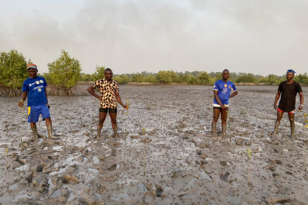 Read more about the article Follow-up on Mangrove Restoration at the Yawri Bay