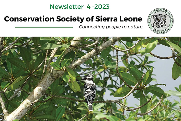 Read more about the article CSSL Newsletter 4-2023