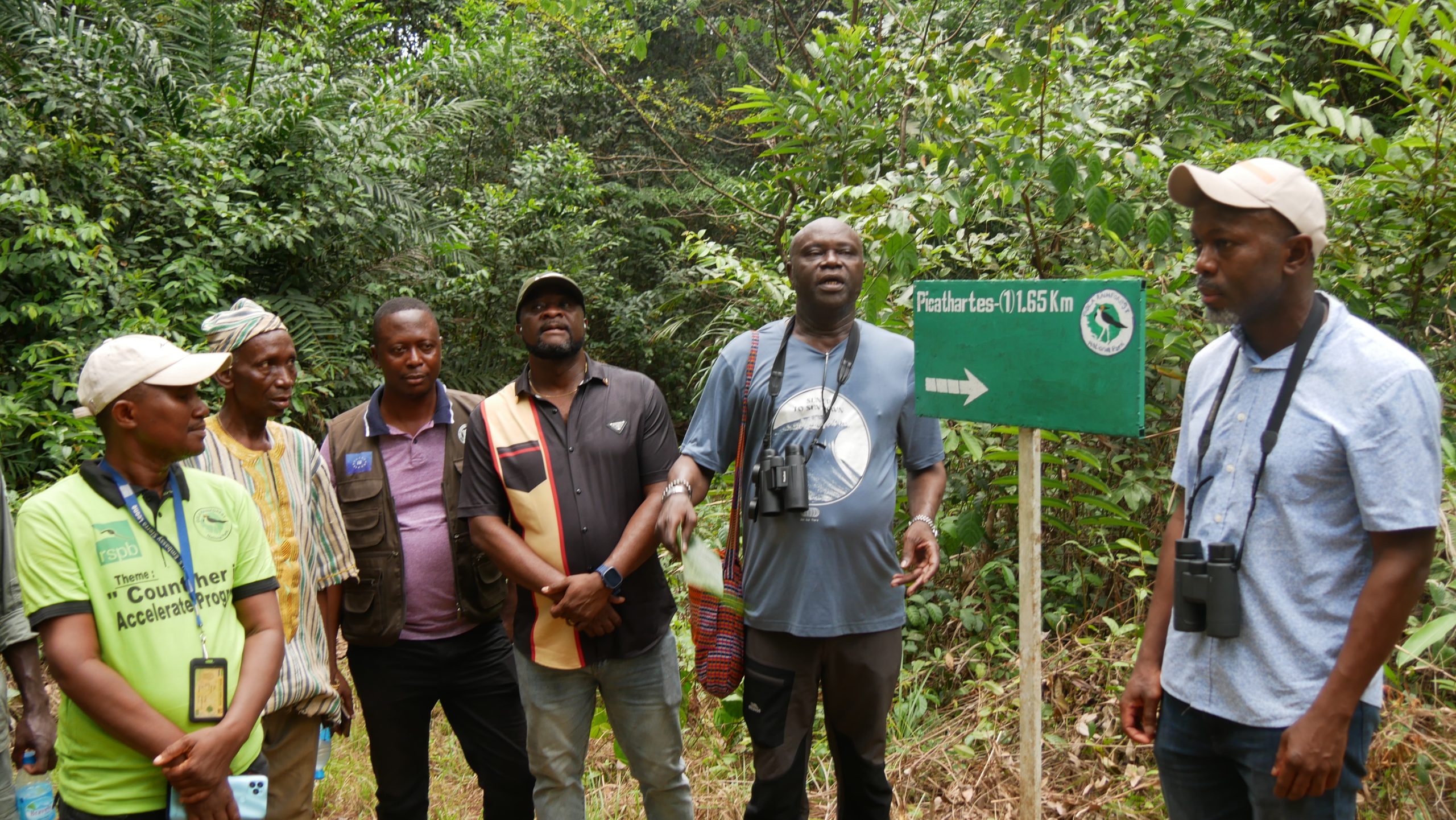 Read more about the article Gola Rainforest: a forest to celebrate with pride