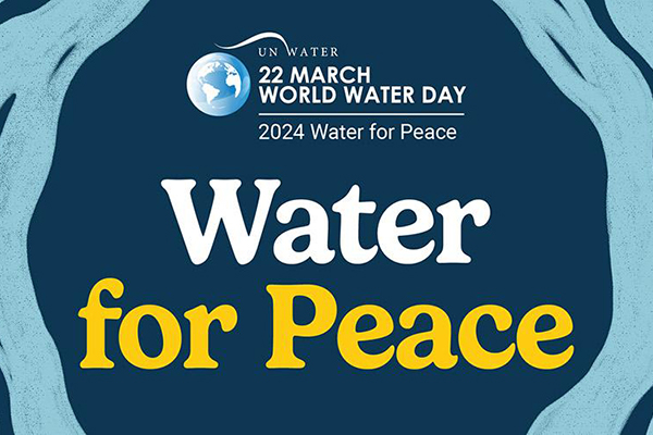 Read more about the article World Water Day 2024: Water for Peace